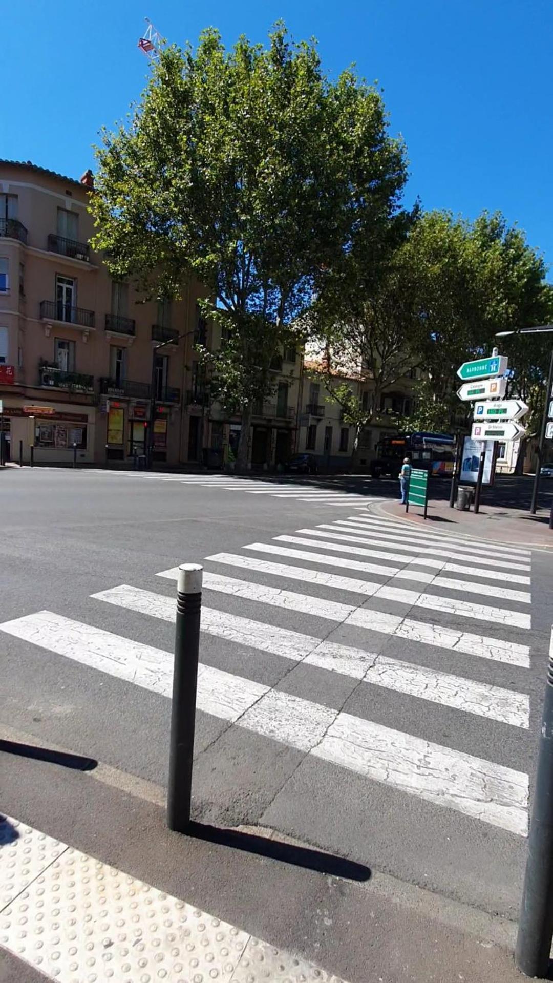 Sejour Perpignan Avec Petit-Dejeuner A La Demande Et Piscine A 20 Minutes De L'Espagne A Le Palace Climatise エクステリア 写真